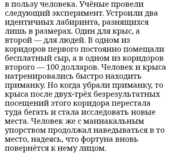 Крыса оказалась умнее