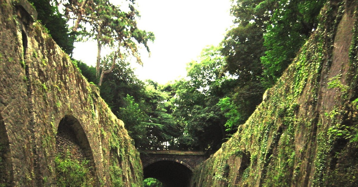 Путь практически. Железная дорога petite ceinture, Франция.. Le petite ceinture: заброшенная железная дорога в Париже. Заброшенная железная дорога в Париже. Железнодорожная линия la petite ceinture.