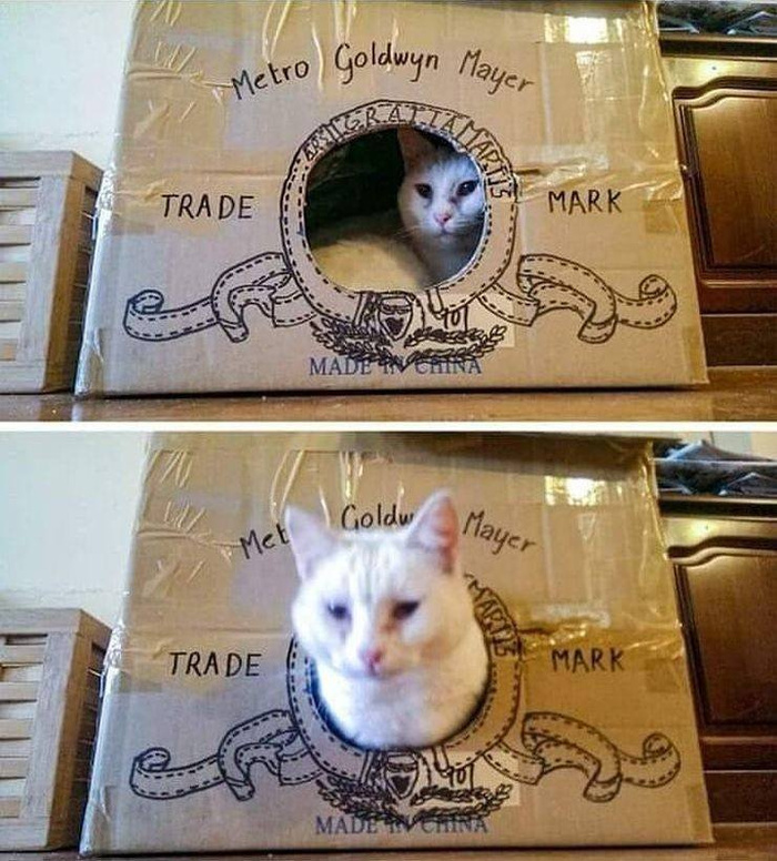 1577316640194044989.jpg