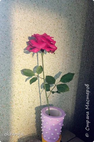 Rose - My, the Rose, Flowers, Interior, Presents, Handmade, Longpost, Polymer clay