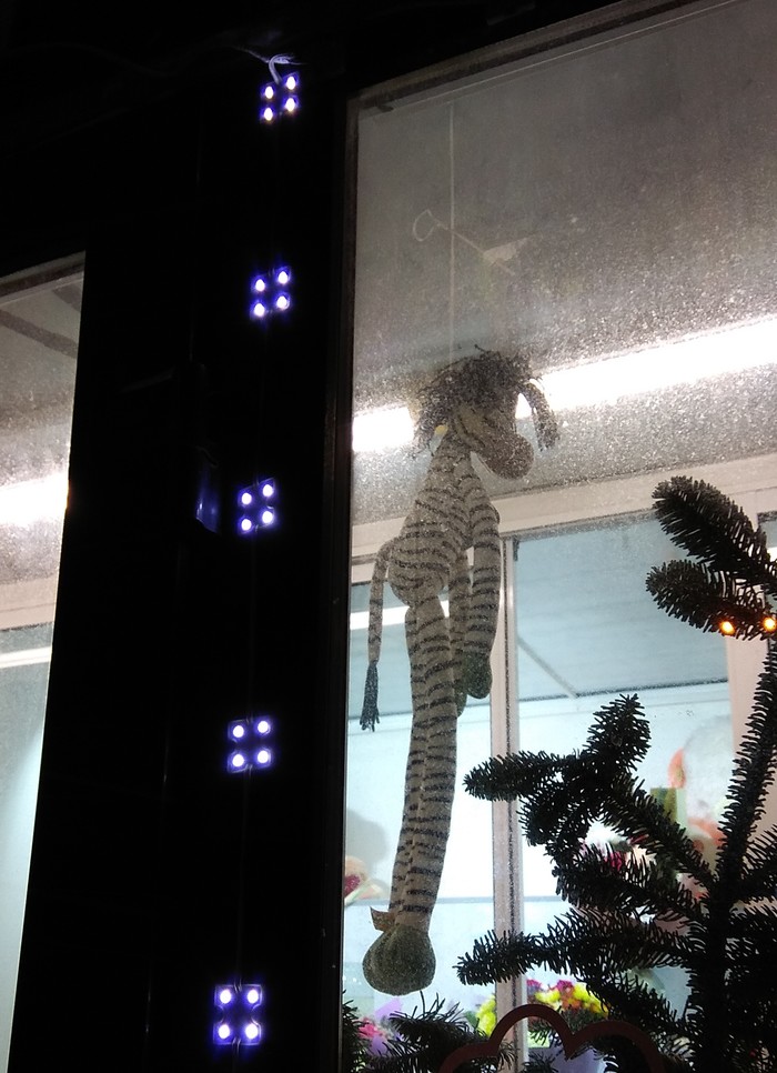 ���������� ����������: �����