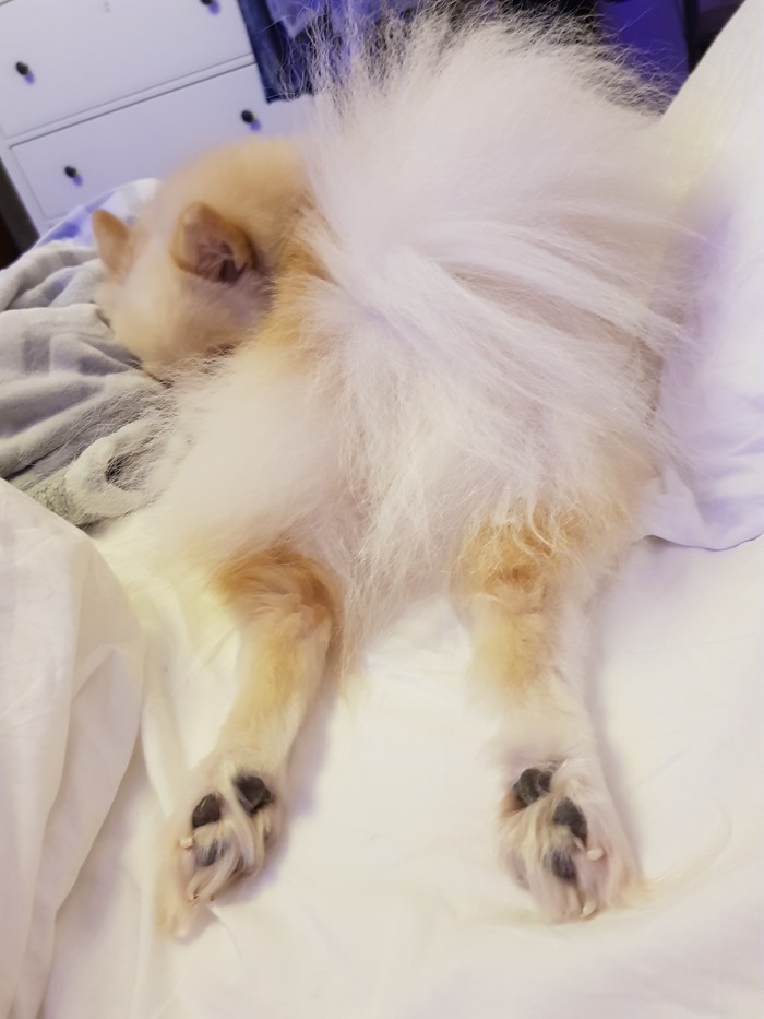 Cuddle with me , , , , 