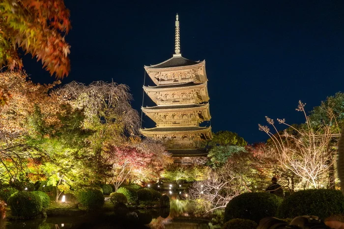 Momiji is the season of red maples. Part 8 - My, Japan, Travels, The photo, Pagoda, Deer, Kyoto, Longpost