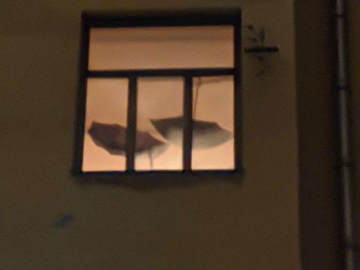 ������ ����.� ������