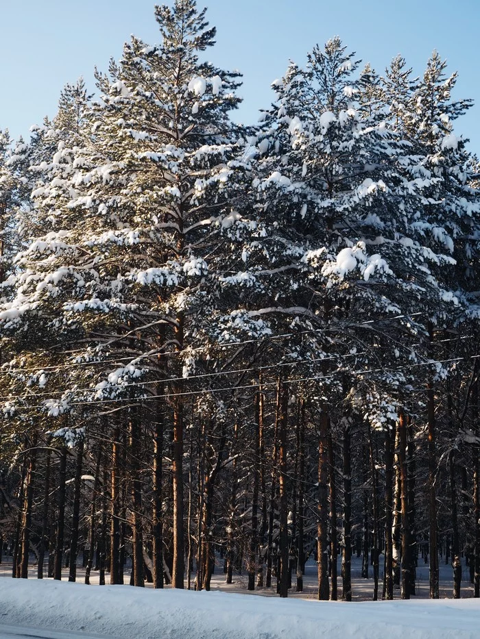 Siberian winter - My, Siberia, The photo, Winter, Snow, Longpost