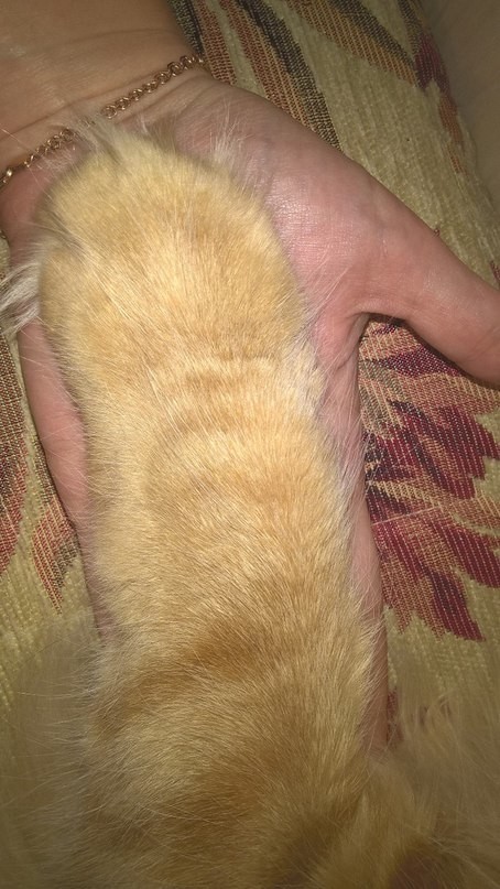     , -,    