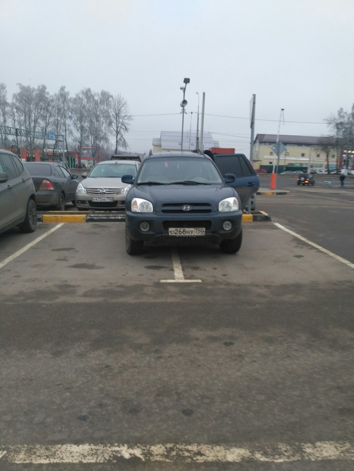 ������ ��������