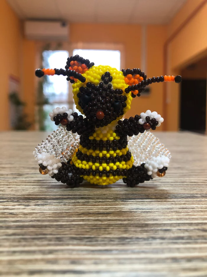 Thanks to Pikabu for the idea! Kitten Bee - My, cat, Animals, With your own hands, Pets, Art, Creation, Longpost