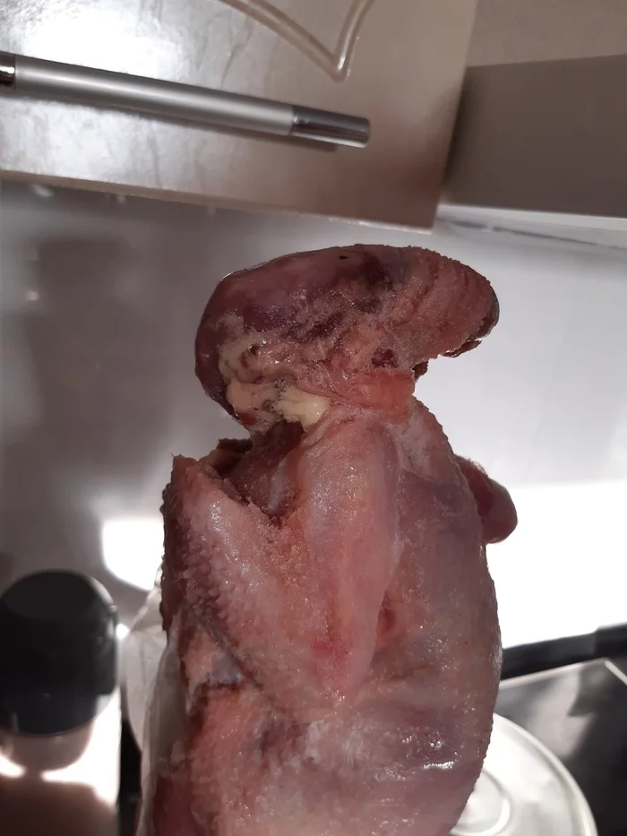 Xenomorph - My, Xenomorph, Chicken, Similarity