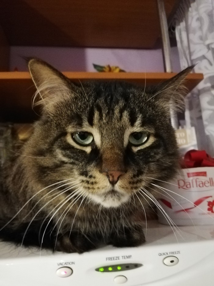 ���������� ����������