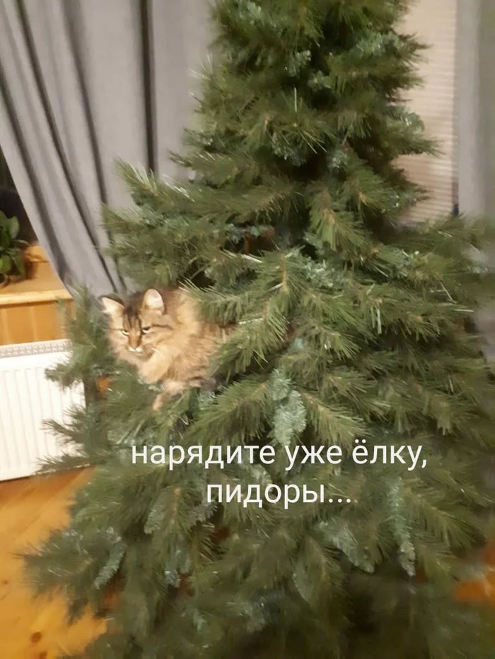 Украшения для ёлки - Длиннопост, Кот, Кошкин дом, Новогодняя елка, Новый Год, Моё