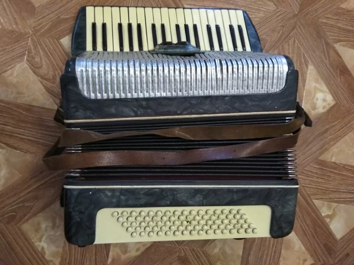 Help me identify an accordion - My, Accordion, Music, Musical instruments, Longpost