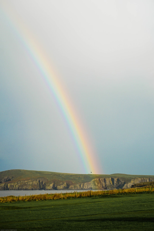 Rainbow Радуга, Фотография