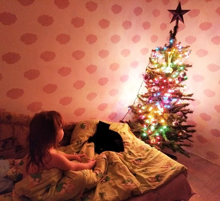 It's time for Christmas stories - My, New Year, Christmas tree, Cat with lamp, Children, cat
