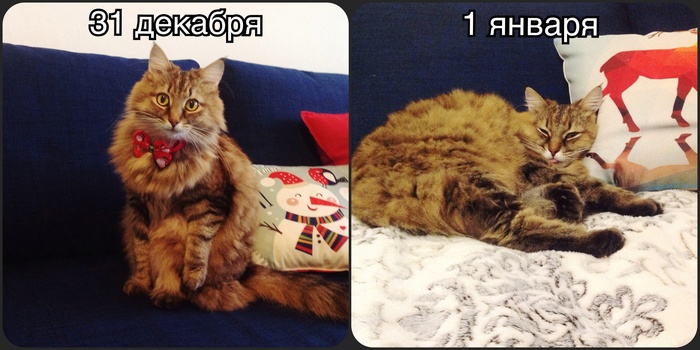 И так каждый раз