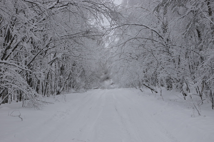 Дорога в зиму