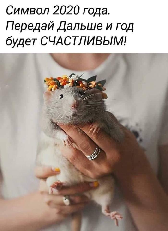 � ����� �����, �����)!