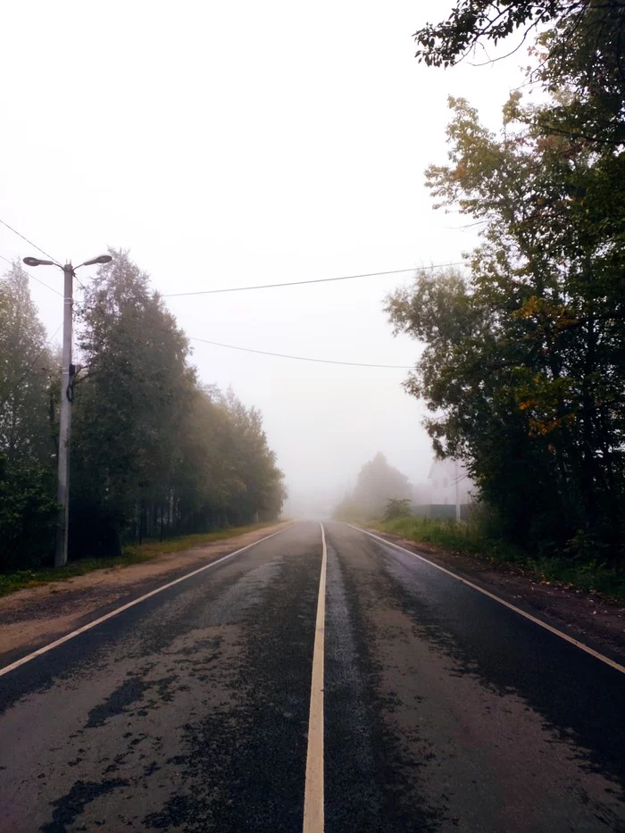 Летние красоты - Моё, Начинающий фотограф, Пейзаж, Туман, Пруд, Дорога, Цветы, Длиннопост