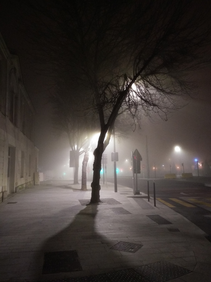 Туманная ночь Фотография, Ночь, Туман, Свет, Тень, Анже