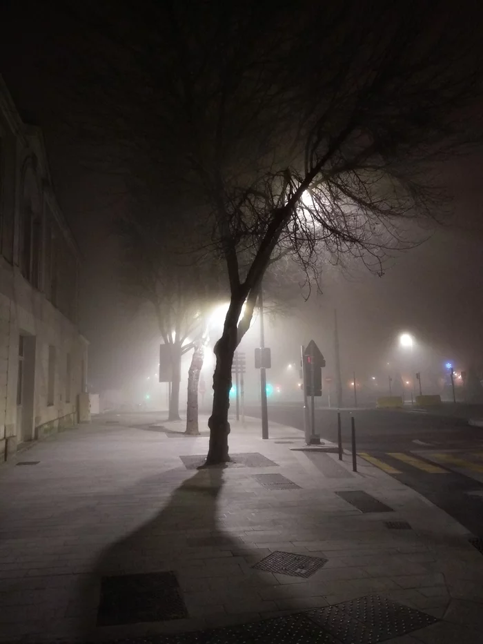 Foggy night - My, The photo, Night, Fog, Light, Shadow, Angers