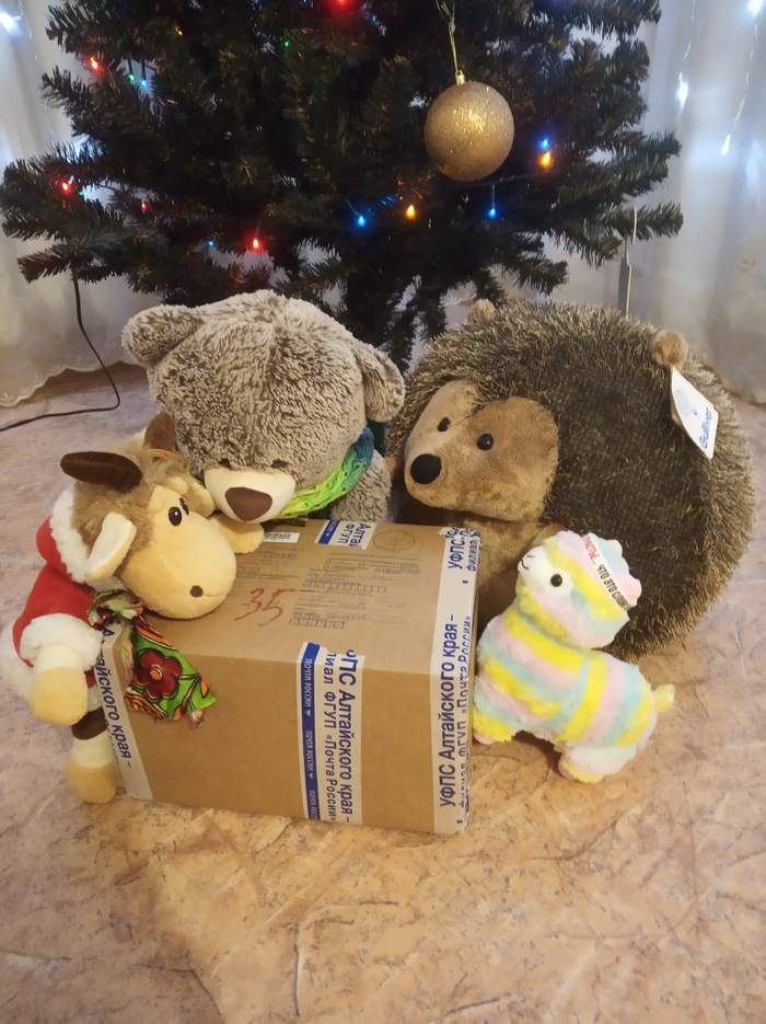 ADM Barnaul-Izhevsk - My, Gift exchange, New Year, Secret Santa, Longpost, Gift exchange report