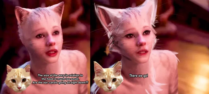 How to make the movie Cats watchable - Longpost, cat, Movies, Musical Cats, Photoshop