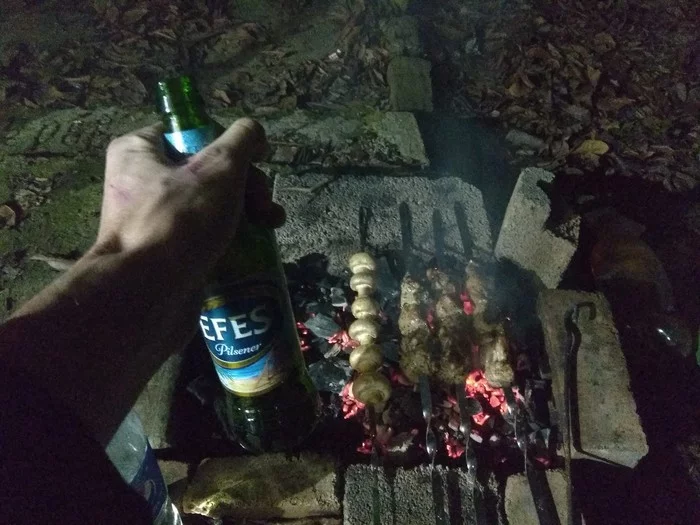 To all my 16 subscribers!!! Happy New Year to you!!! - My, Shashlik, In one snout, Alcoholism