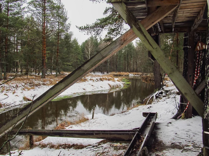 Nerskaya River - My, PVD, Meshchera, Longpost, Bike ride