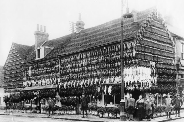 Butcher shop. England 19th century - England, Meat, Story, Vintag ES, Longpost, Butcher shop