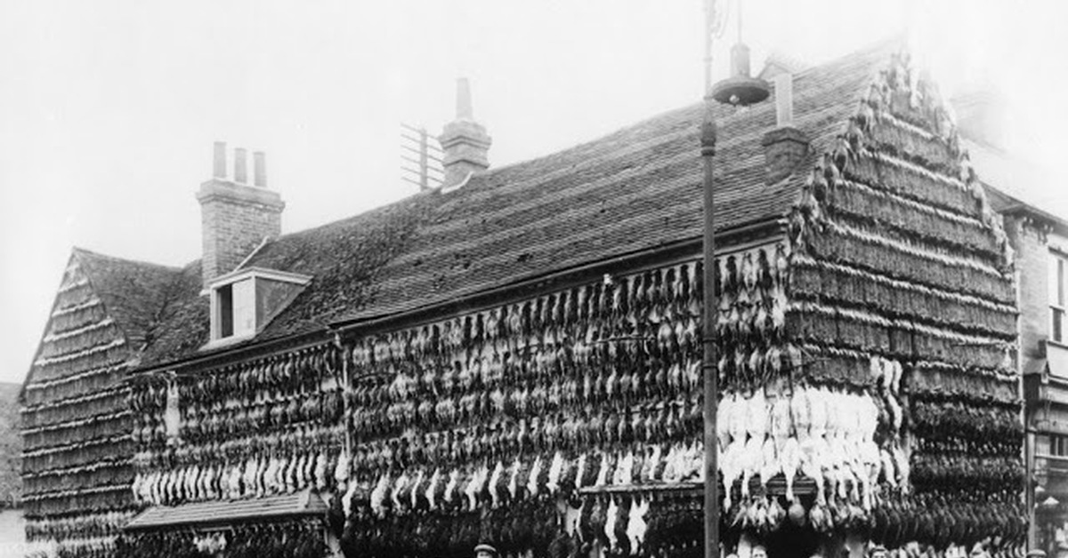 Техника 1900 года. Мясная Лавка Англия 19 век. Викторианская эпоха в Англии 19 век. Викторианская эпоха Лондон 19 век. Магазины в Англии 19 век.