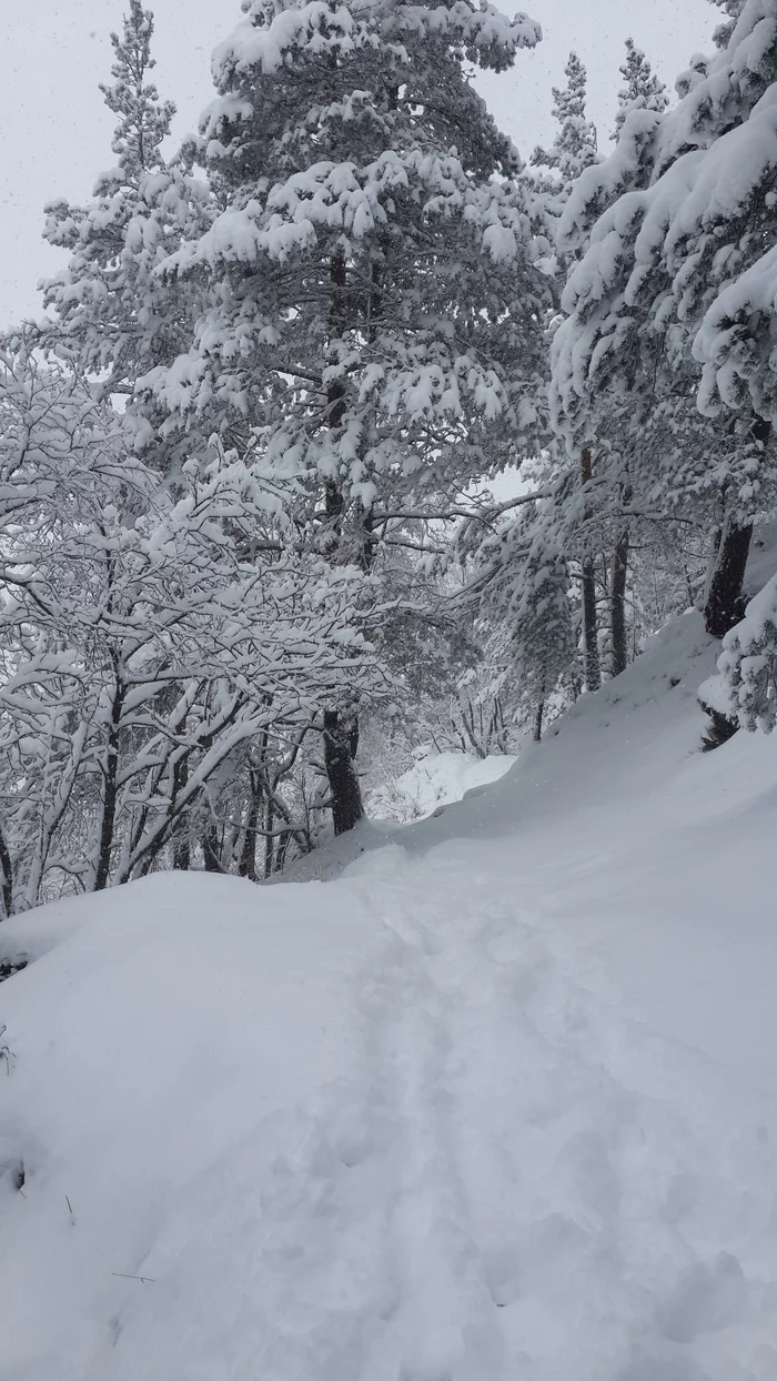 Happy New Year - My, The photo, Landscape, Winter, Snow