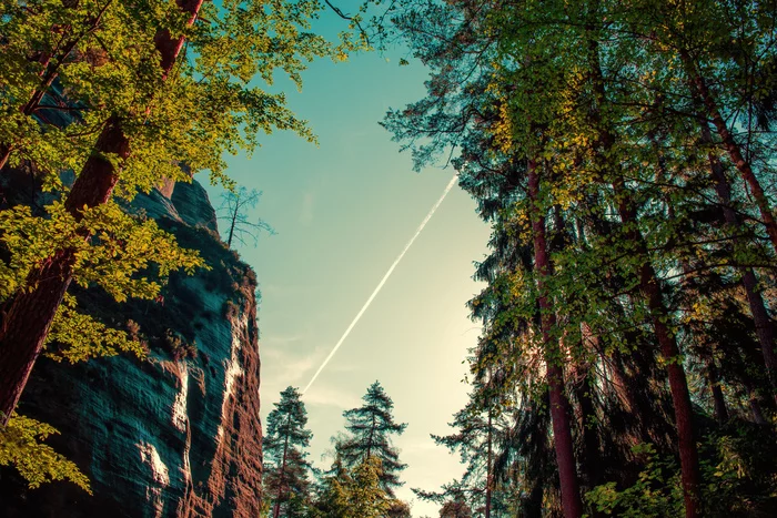 I want to believe - My, Forest, The mountains, Czech, Calmness, Silence, Nature, Надежда