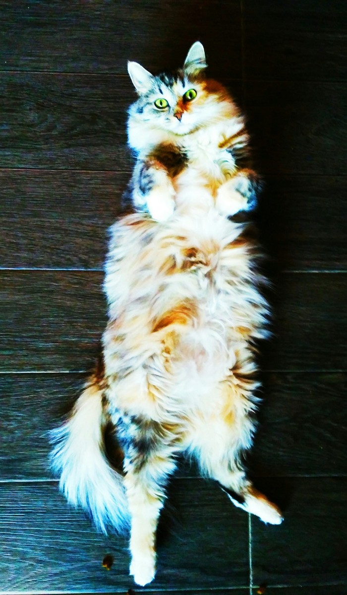 ��������