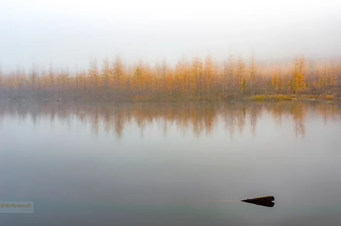 One of the best mornings - My, Yakutia, Peaceful, Light, Viluy, Fishing, Hunting, The photo, Longpost, Autumn