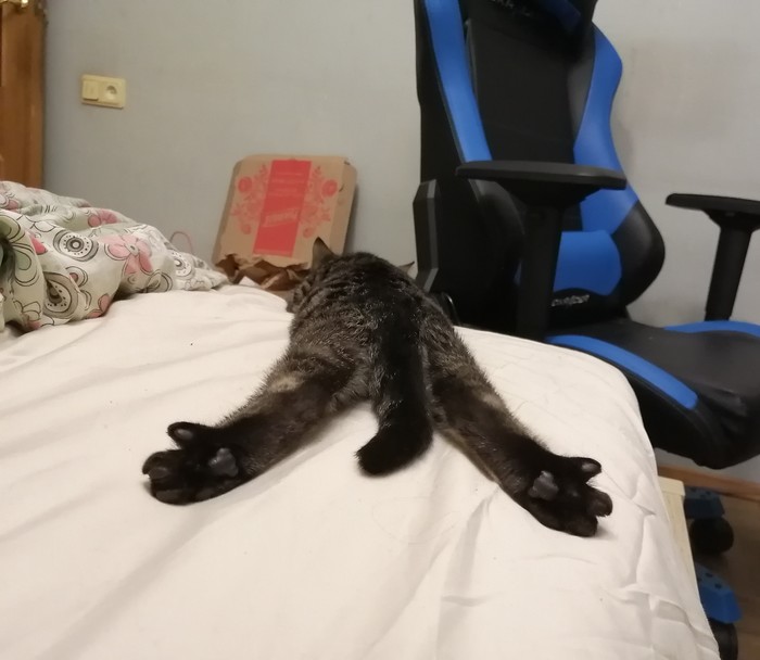 ����� ������
