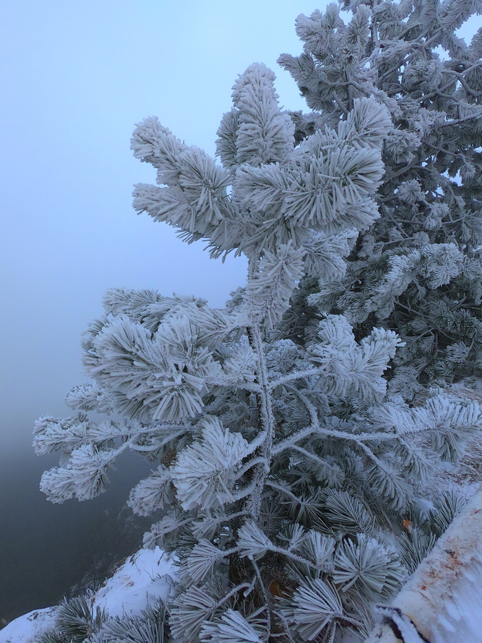 Ай-Петри завалило снегом (фото, январь 2020 год) Ай-Петри, Ялта, Крым, Длиннопост