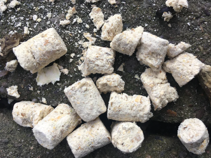 Что это за штука - 76 Перевел сам, Reddit, WhatIsThisThing, Видео, Длиннопост