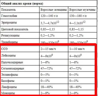 Our internal troops: introduction - My, Biology, Immunity, GIF, Longpost