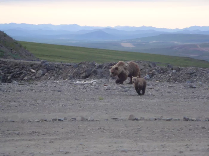 Geophysics at the Chukotka field - My, Interesting, Geophysics, Chukotka, Mining, Work, Nature, Geology, Longpost