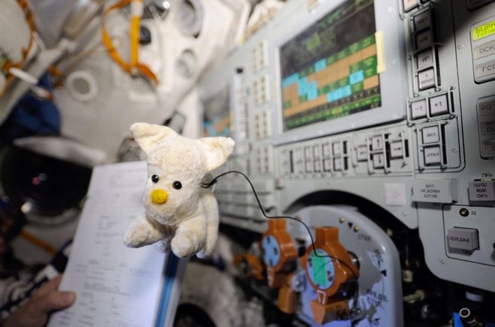 зачем садятся на дорожку. 1578383443156348845. зачем садятся на дорожку фото. зачем садятся на дорожку-1578383443156348845. картинка зачем садятся на дорожку. картинка 1578383443156348845. зачем садятся на дорожку. 1578383443156348845. зачем садятся на дорожку фото. зачем садятся на дорожку-1578383443156348845. картинка зачем садятся на дорожку. картинка 1578383443156348845.