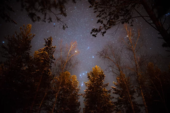 January stars - My, Winter, Forest, Astrophoto, Stars, Sky, Night, Text