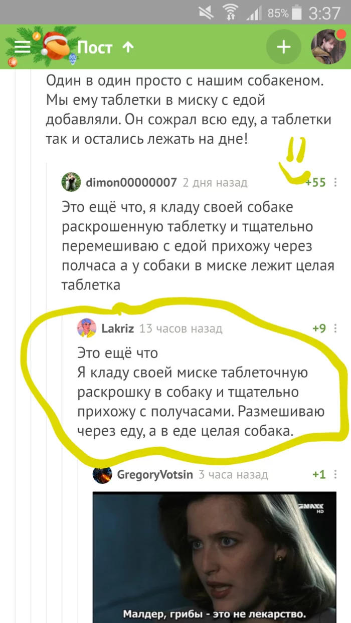 Когда уровень наркомании зашкаливает - Моё, Собака, Наркомания, До слез, Комментарии на Пикабу