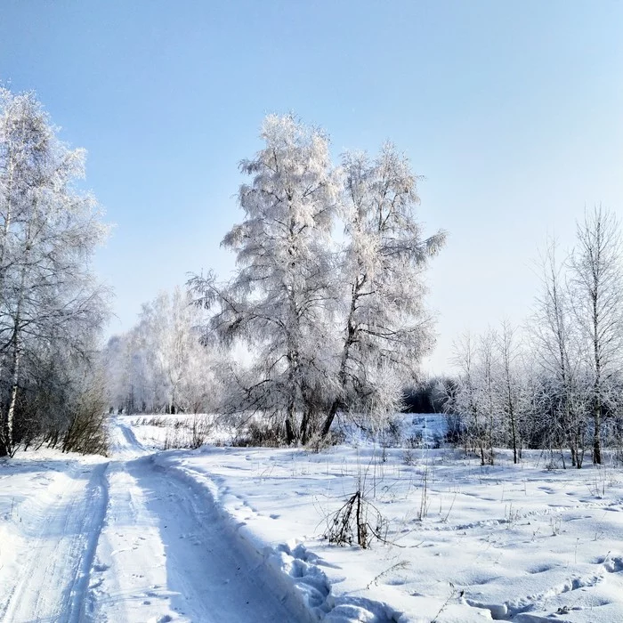 Just a landscape - My, Siberia, Winter, The photo