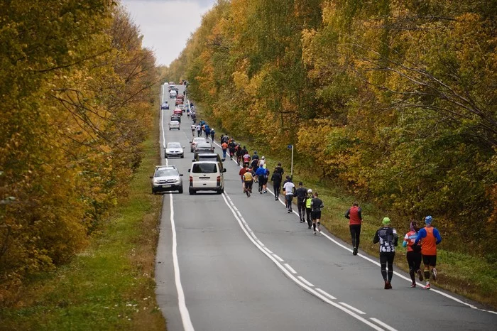 My first Marathon! - My, Samarskaya luka, Marathon, Longpost