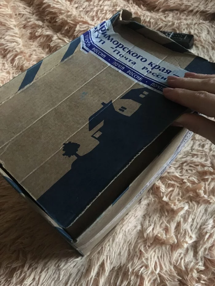 Sudden gift exchange Nakhodka-St. Petersburg - Gift exchange, Longpost, Package, Secret Santa, Gift exchange report, My