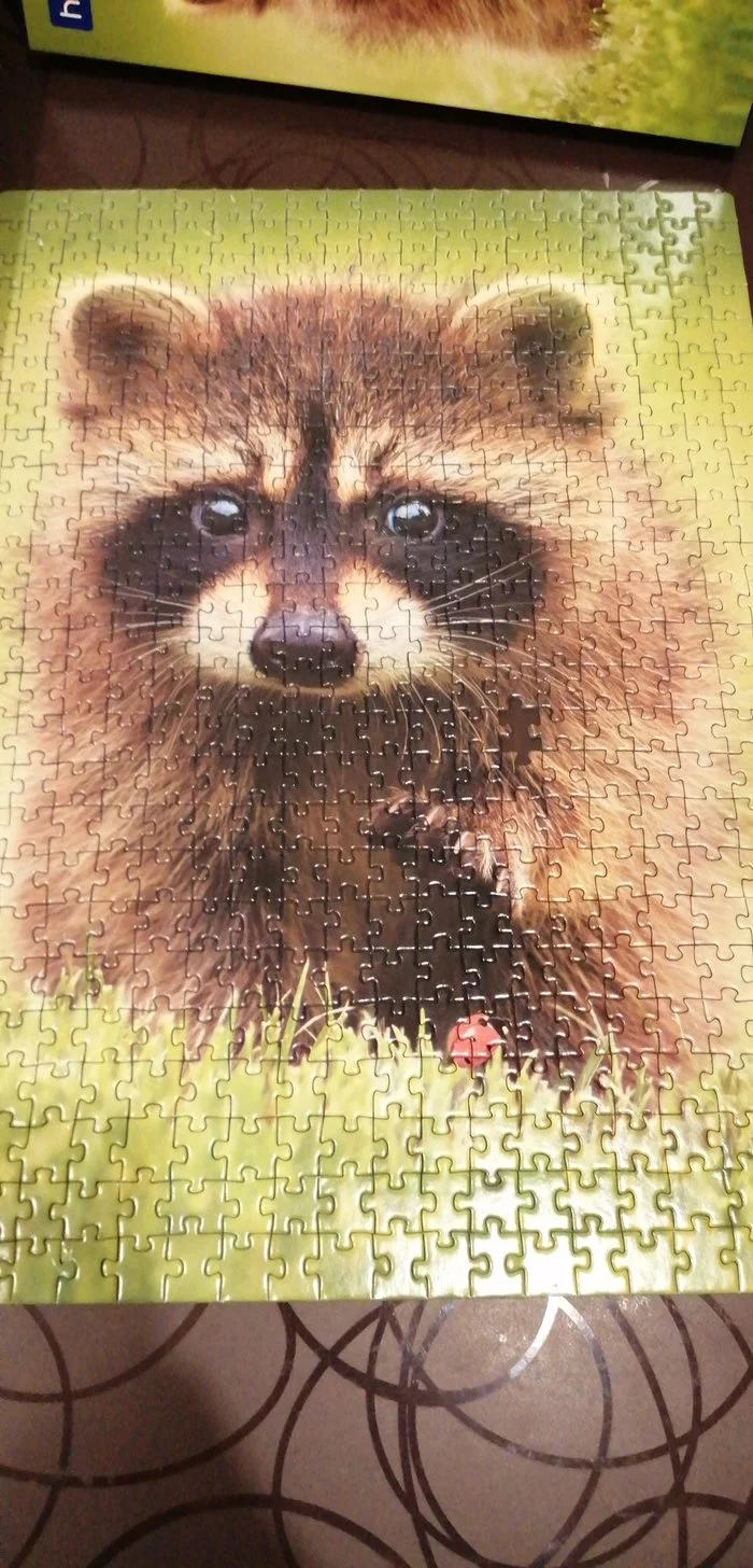 499 out of 500. Lots of pain - My, Puzzle, Pain, Raccoon, Calmness, Longpost