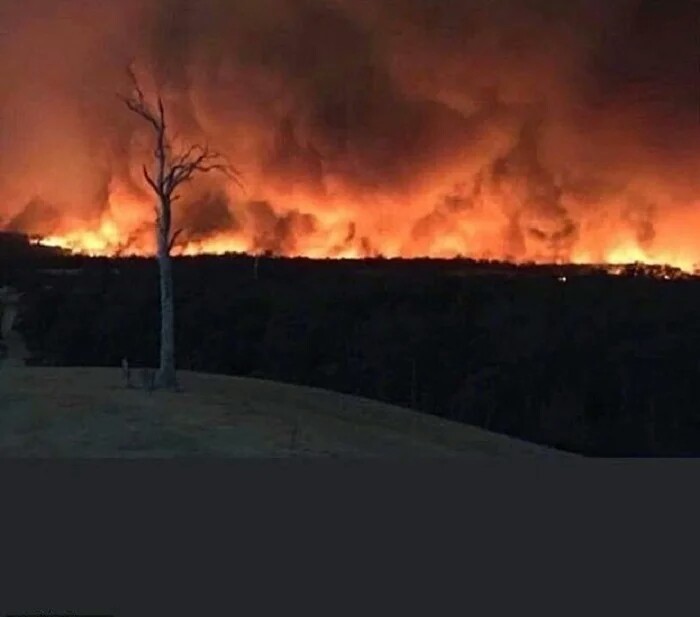 The face of the devil was captured in a photo of a forest fire in Australia - Forest fires, Australia, Mystic, Fearfully, Longpost