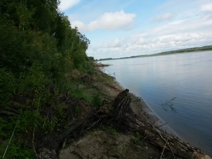 Ob, August, 2019 - My, Fishing, Spinning, Pike, River, Ob, Longpost