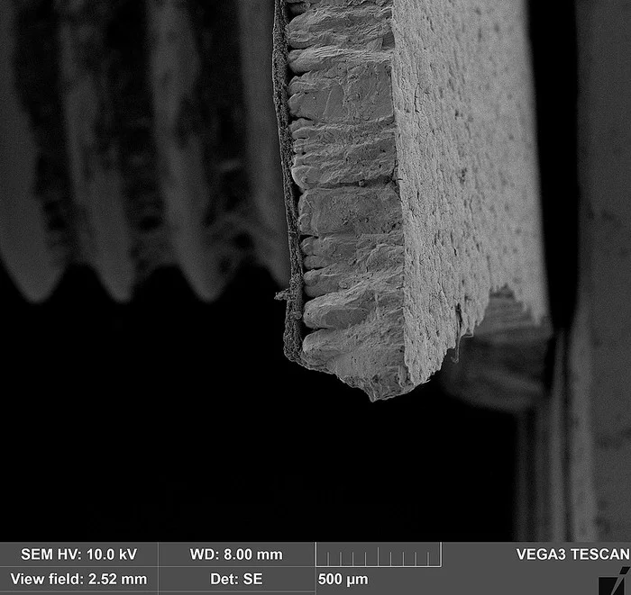 Eggshells in an electron microscope - My, Macro photography, Microfilming, Egg, Shell, Electron microscope, Longpost