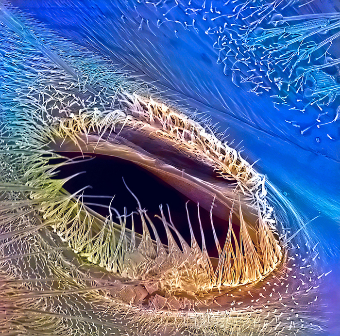 �������� ���� � ����������� ����������